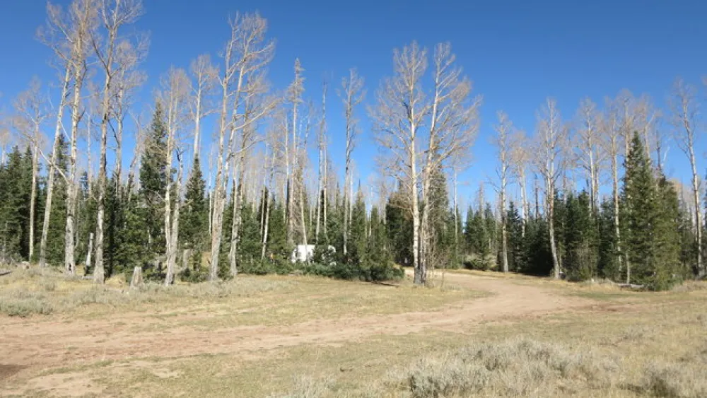 Cedar Breaks Dispersed Camping