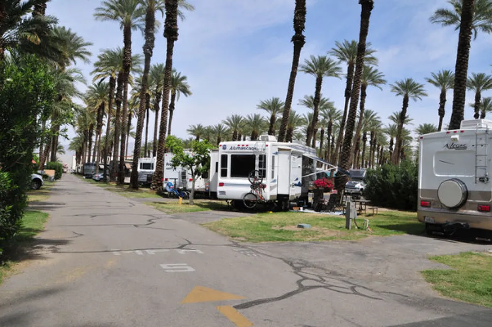 Palm Springs RV Resort & Campground