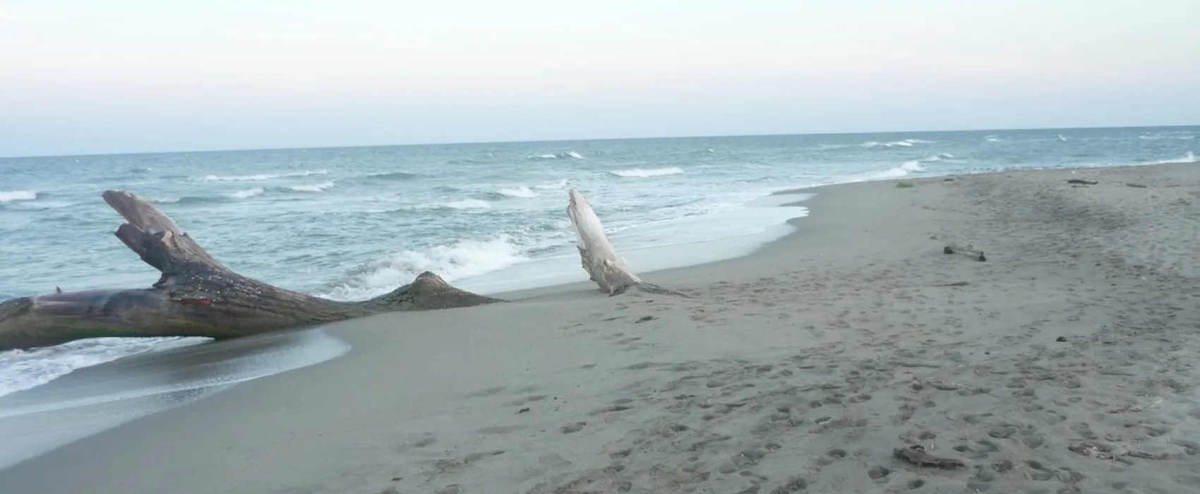 Capfun Marina d'Aléria