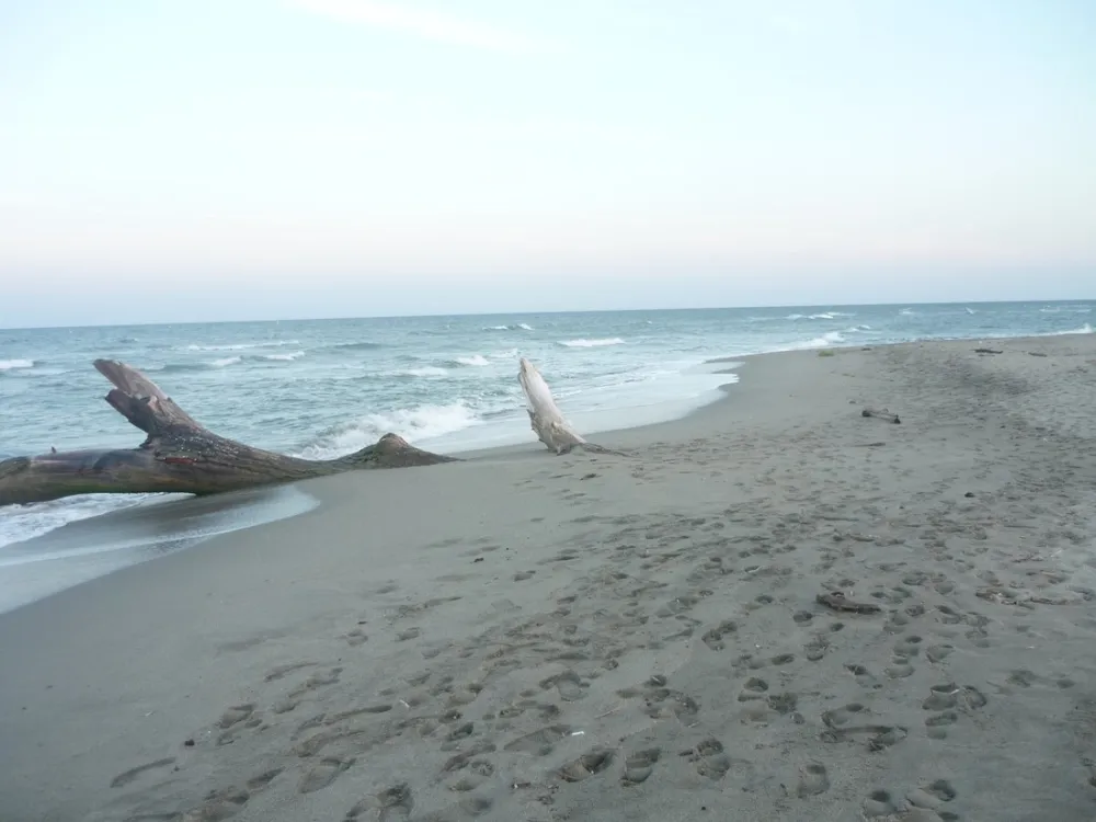 Capfun Marina d'Aléria