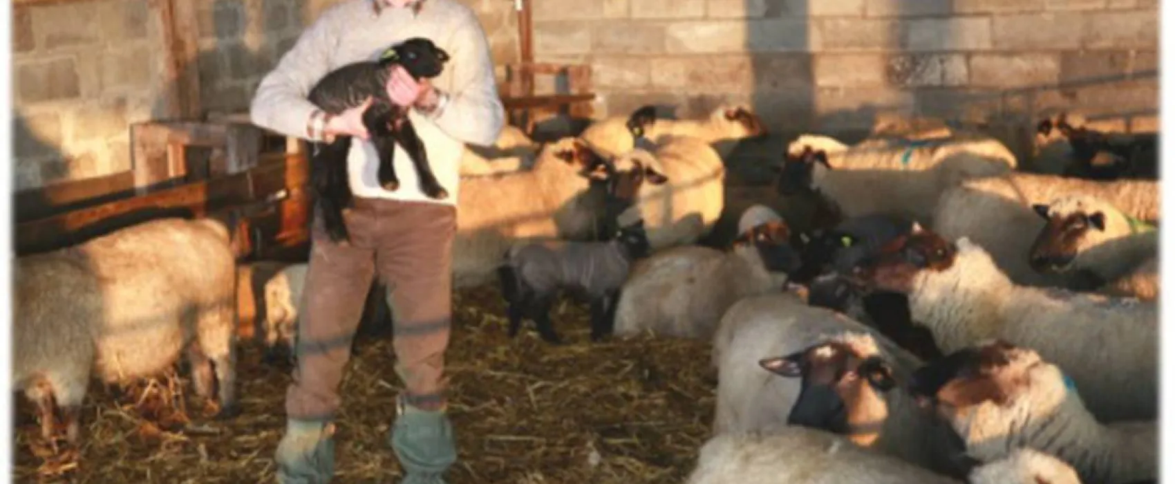 Camping La Safrière