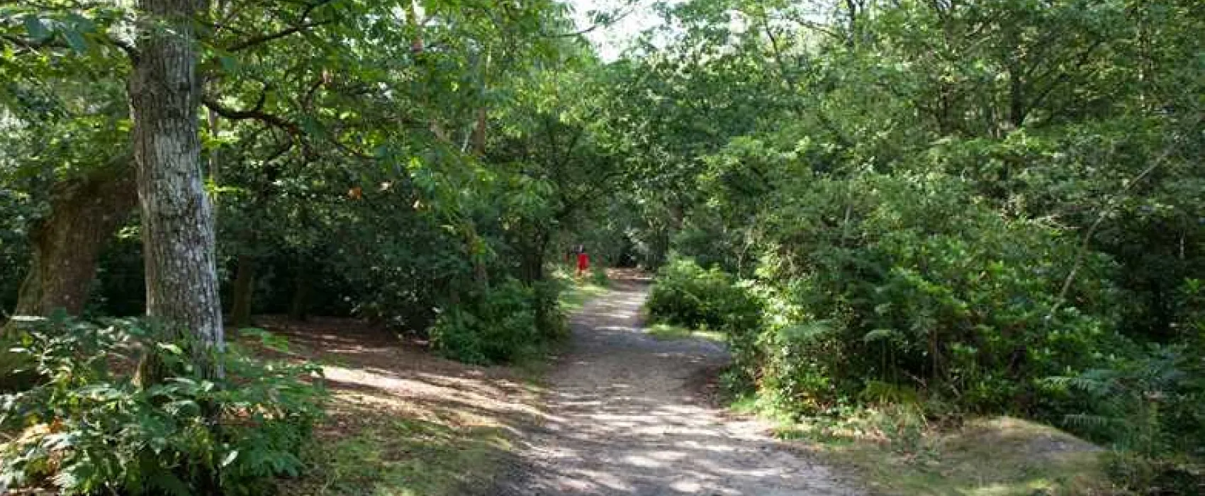 Graffham Camping and Caravanning Club Site