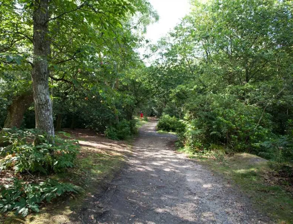 Graffham Camping and Caravanning Club Site