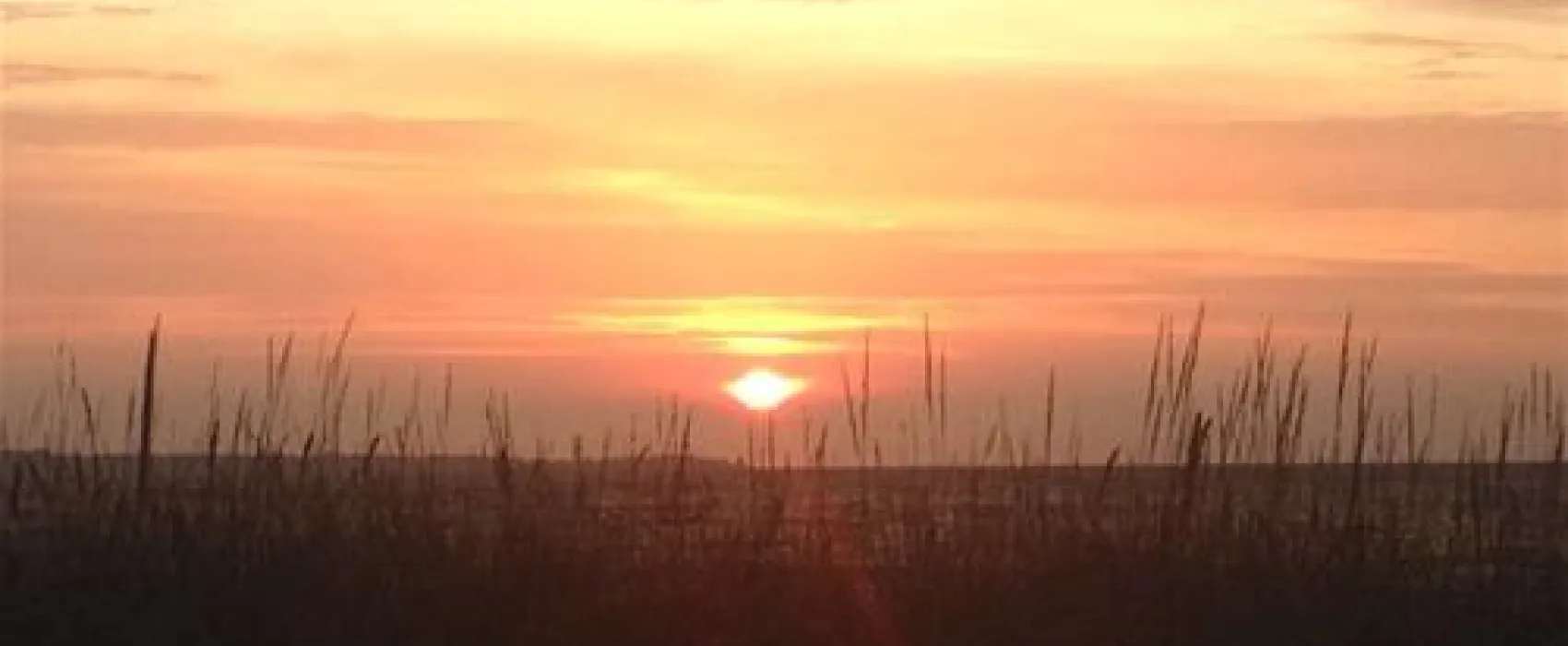 Campingplatz Seepferdchen