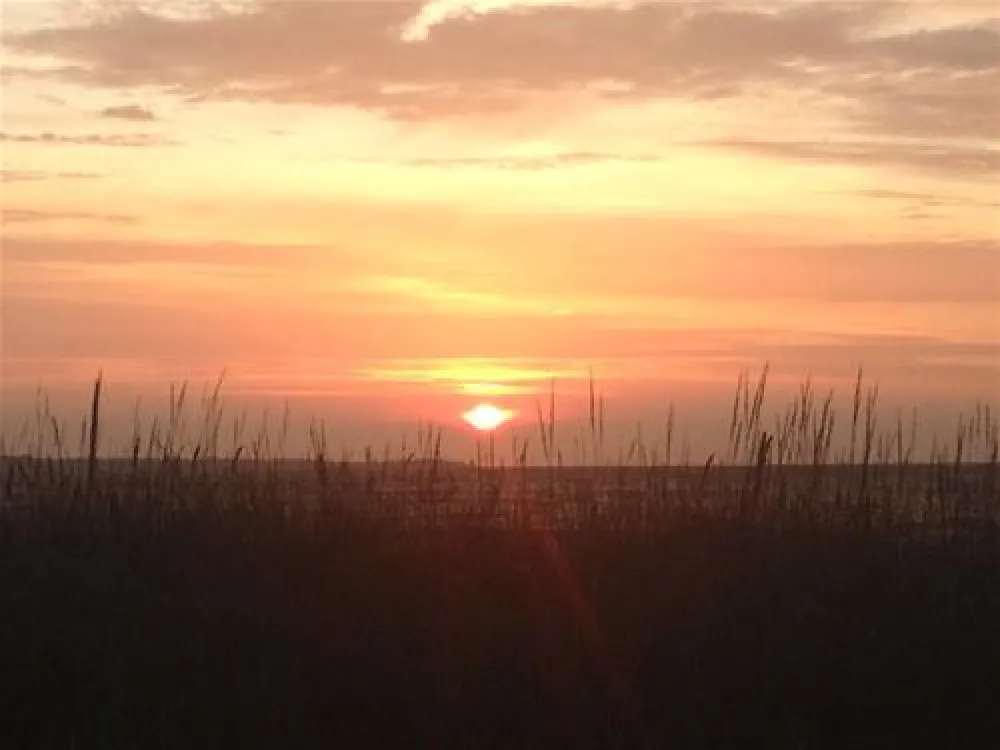 Campingplatz Seepferdchen