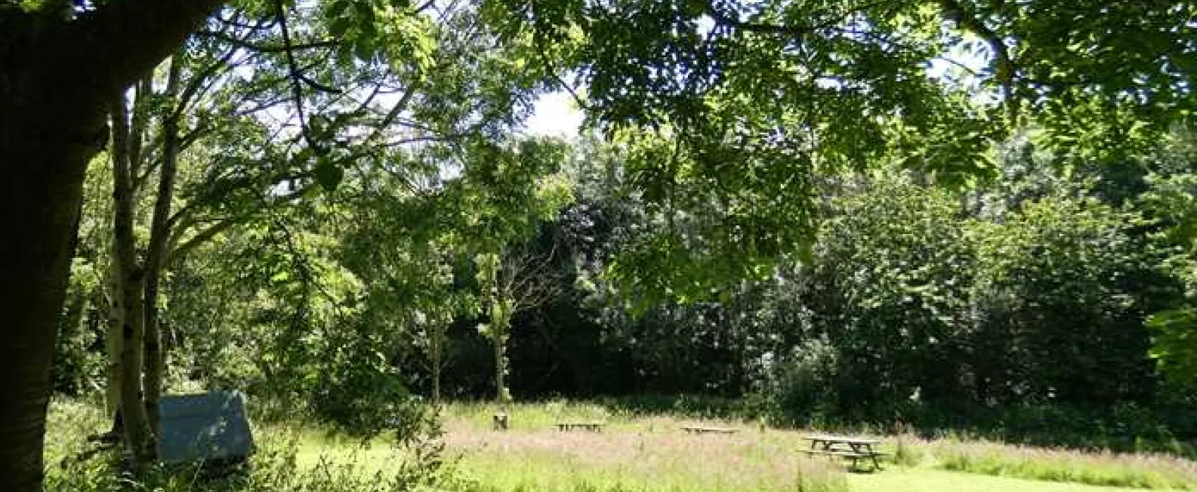 Tyddyn Isaf Caravan Park