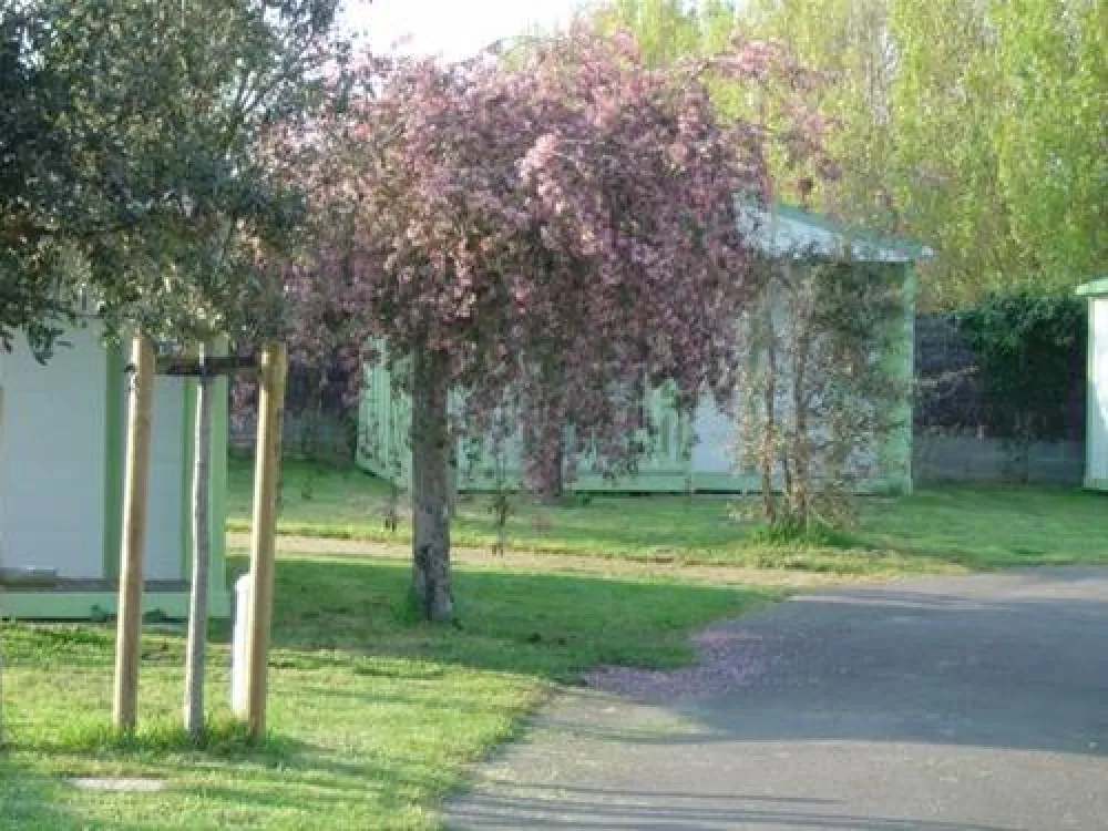 Camping Saint Hubert