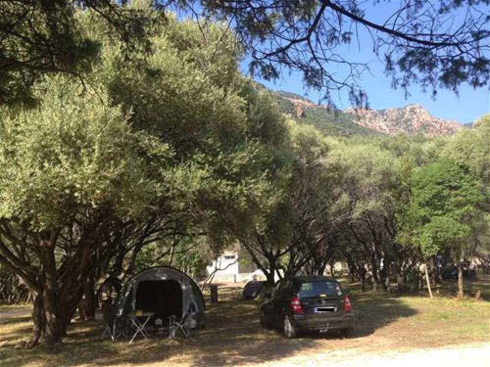 Camping Municipal