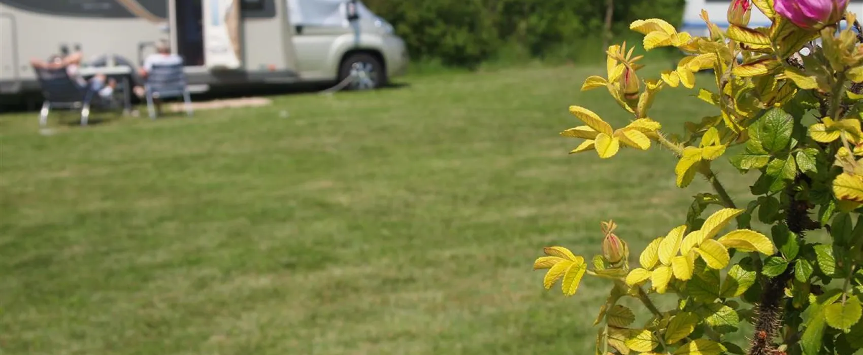 De Heerlijkheid van Wolphaartsdijk