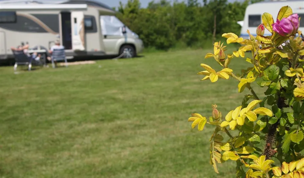 De Heerlijkheid van Wolphaartsdijk