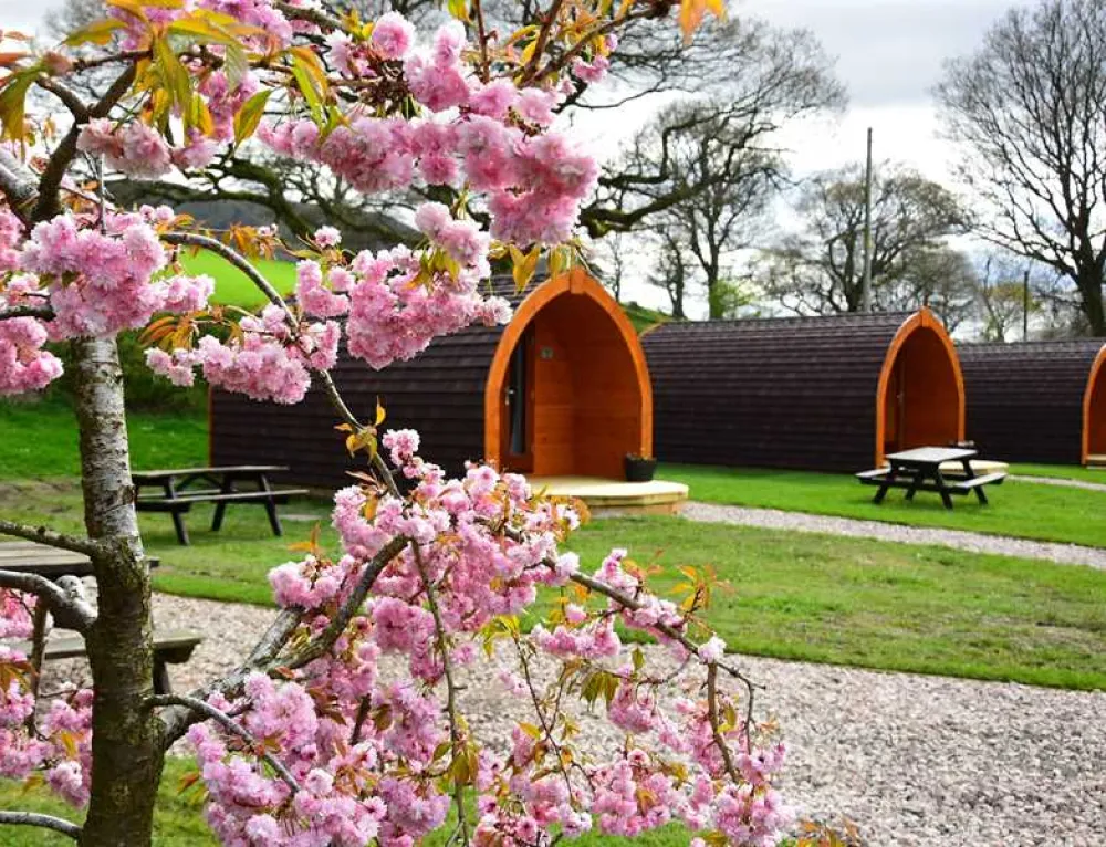 Waterside Farm Campsite
