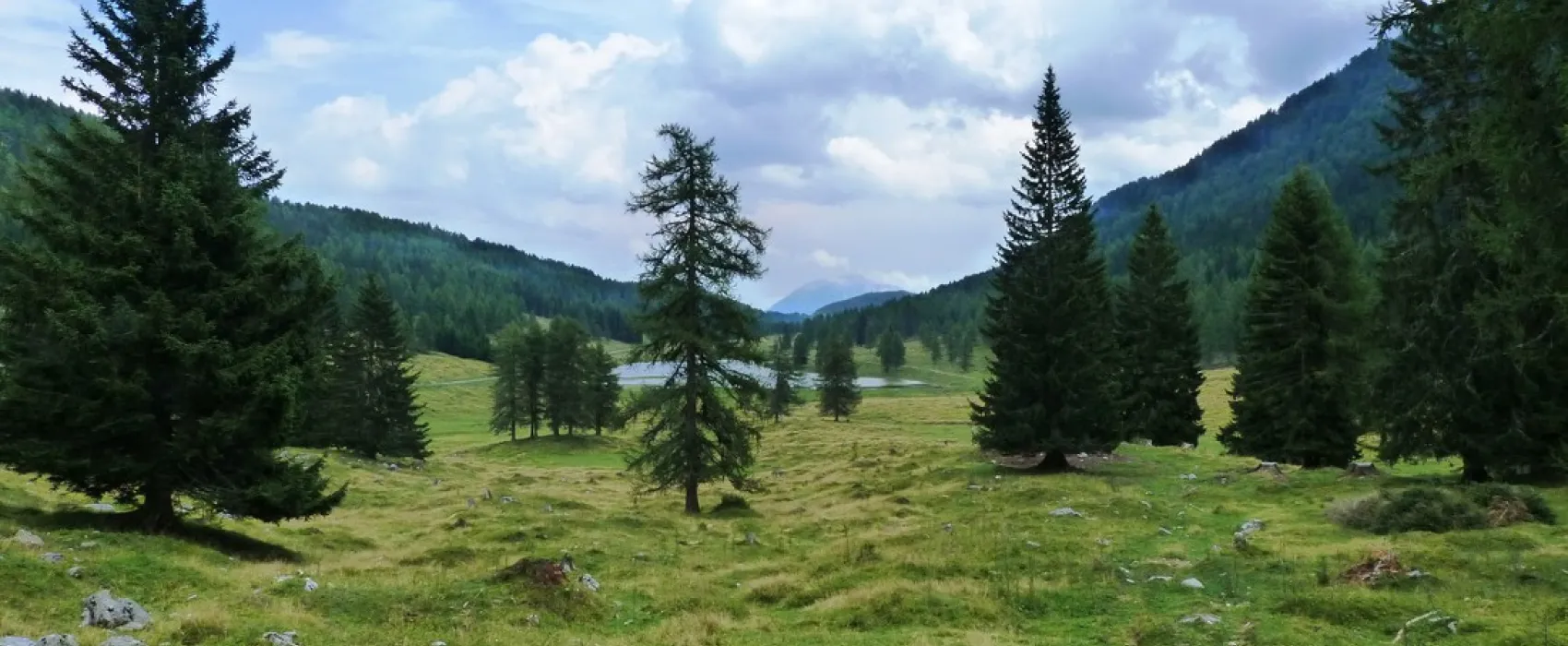 Sport Camping Flaschberger