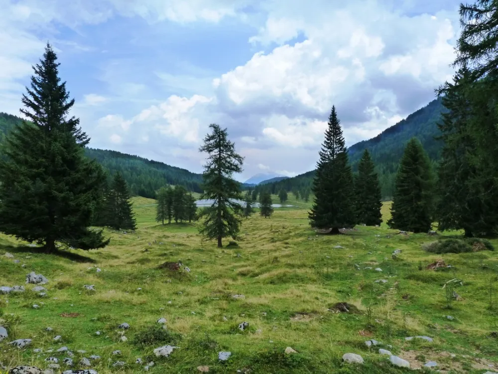 Sport Camping Flaschberger