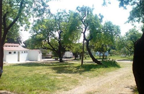 Camping Trstenica - Photo 3