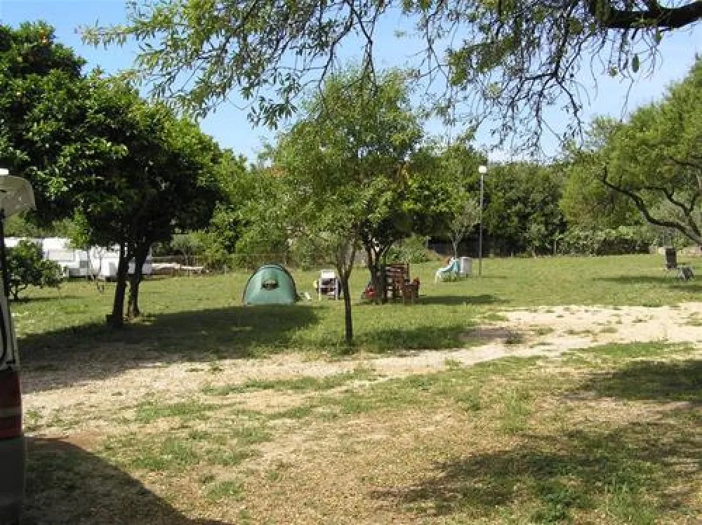 Camping Trstenica