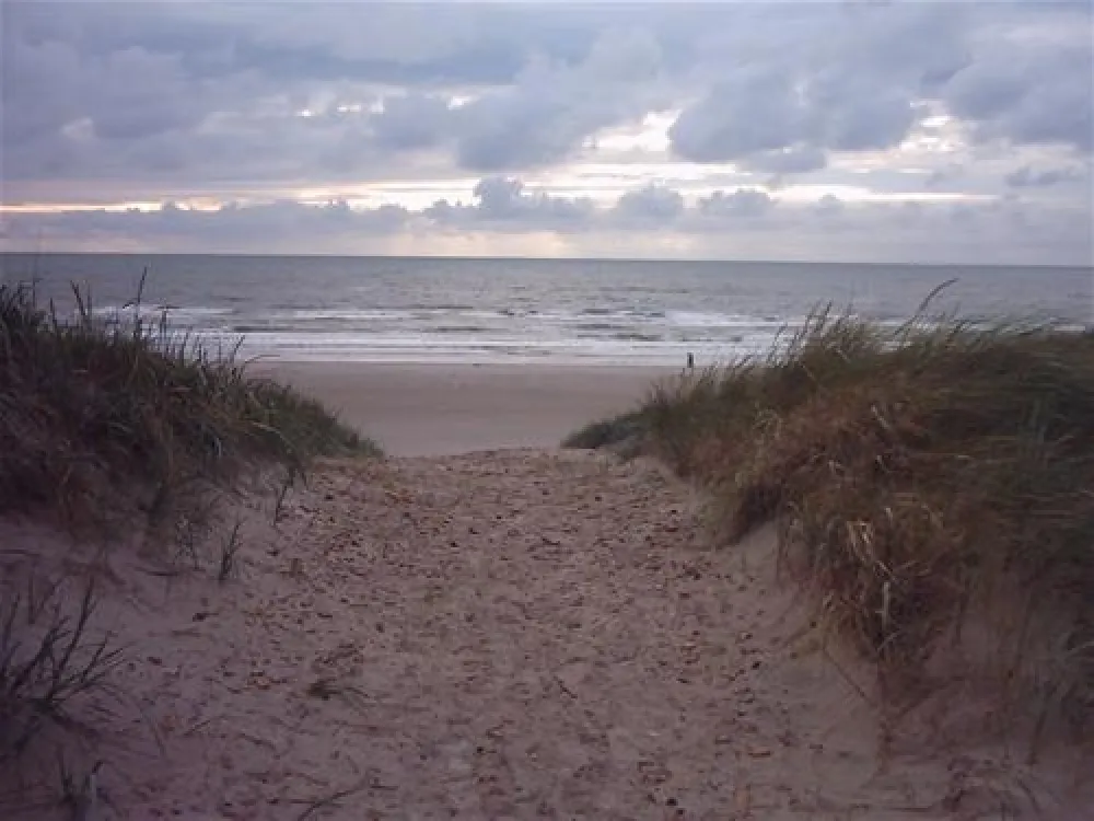 Vejers Familie Camping