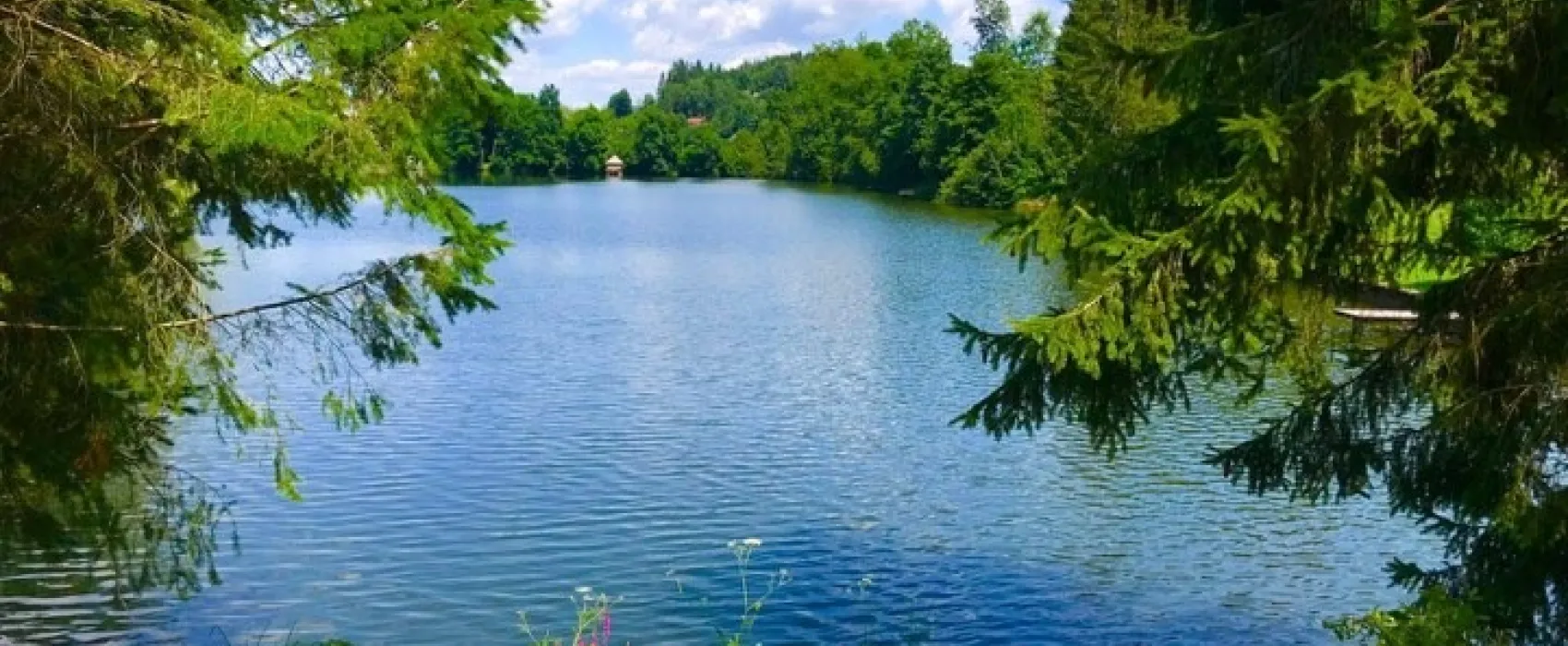 Camping Zum Dammwirt