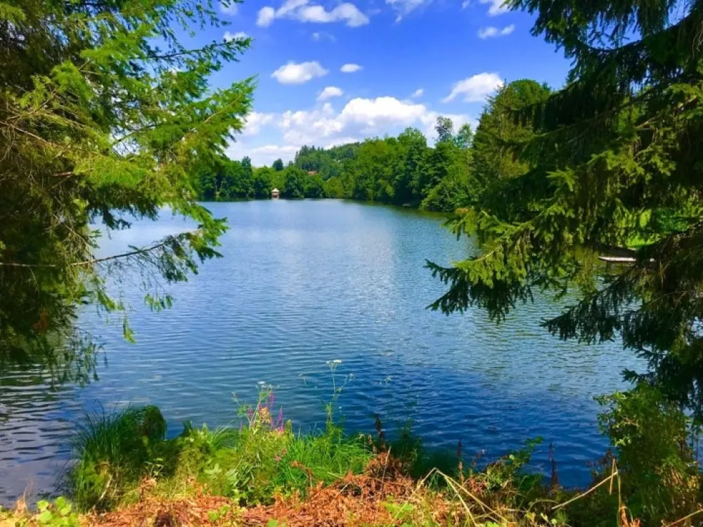 Camping Zum Dammwirt