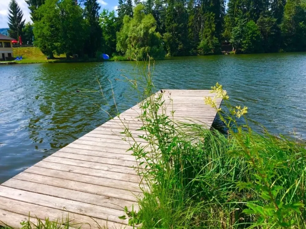 Camping Zum Dammwirt