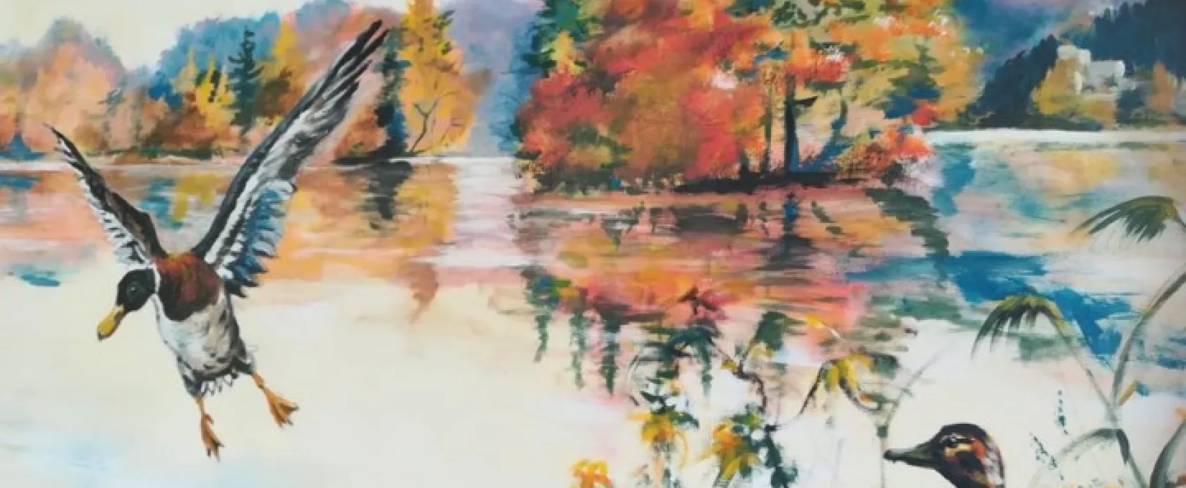 Camping Zum Dammwirt