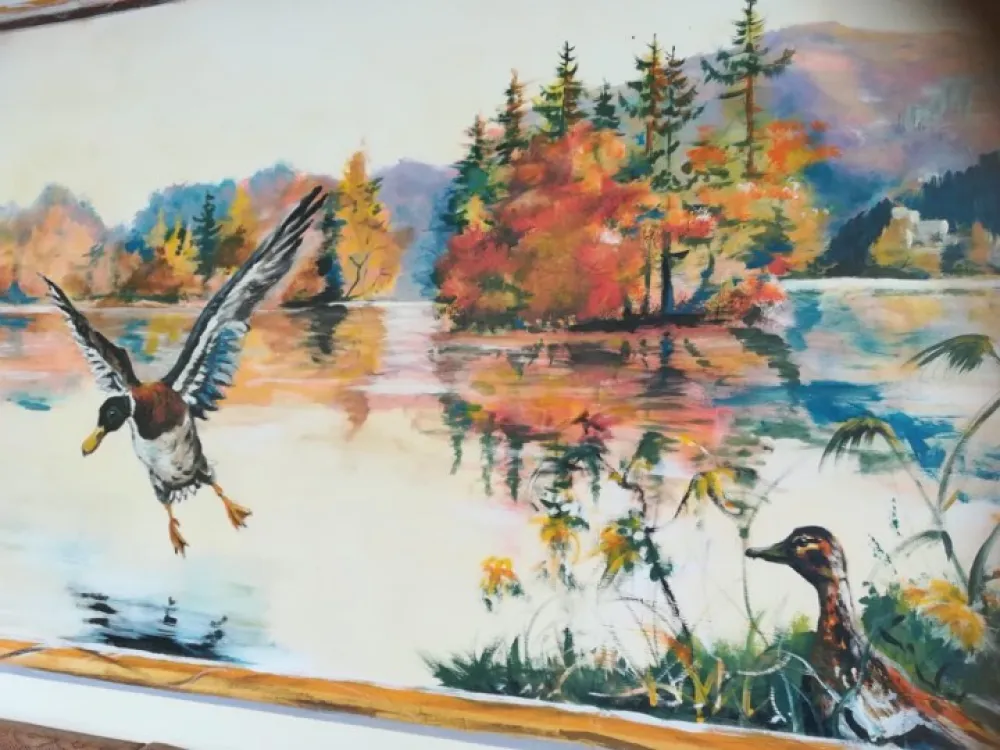 Camping Zum Dammwirt