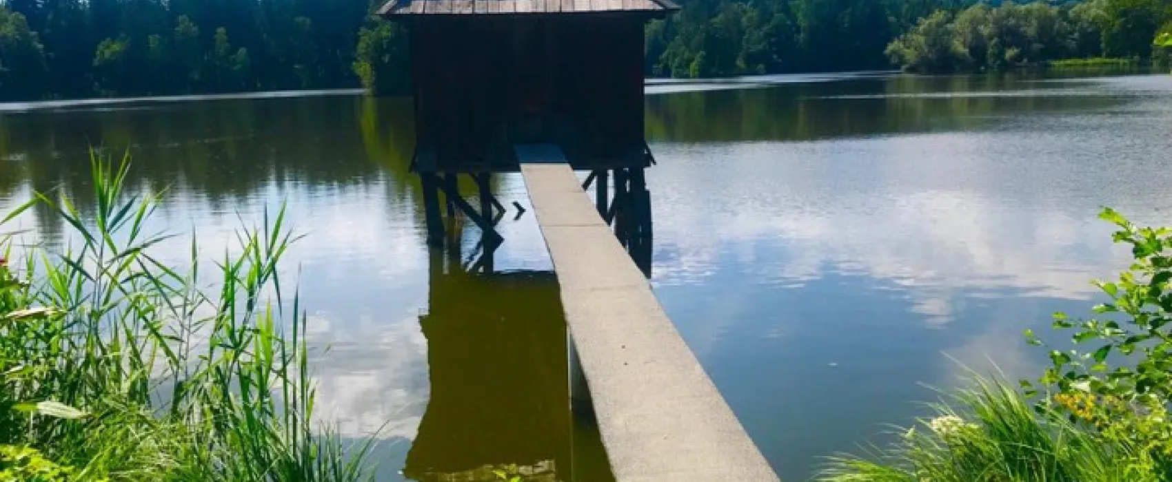 Camping Zum Dammwirt