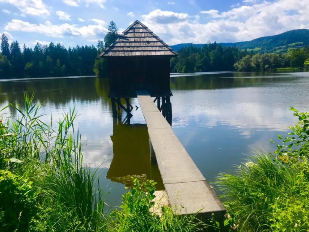 Camping Zum Dammwirt