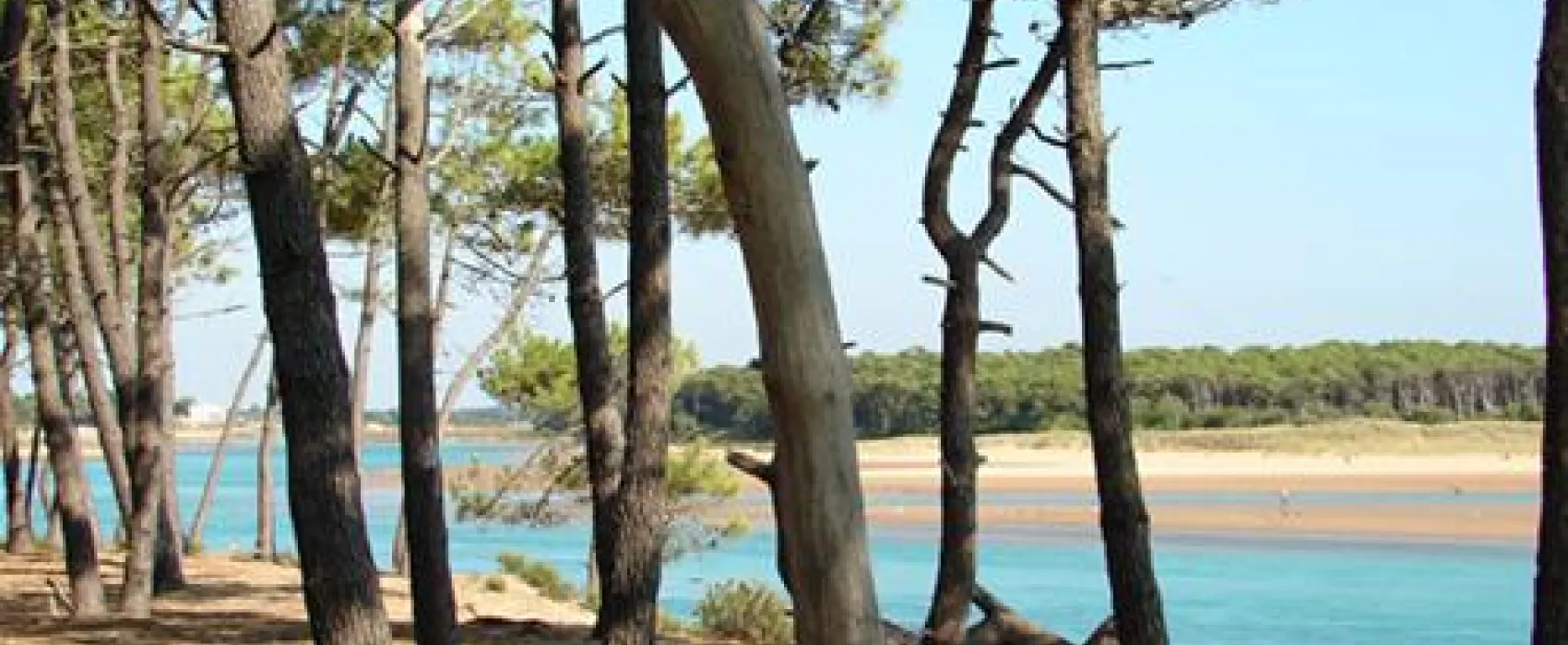 Camping Veillon-Plage