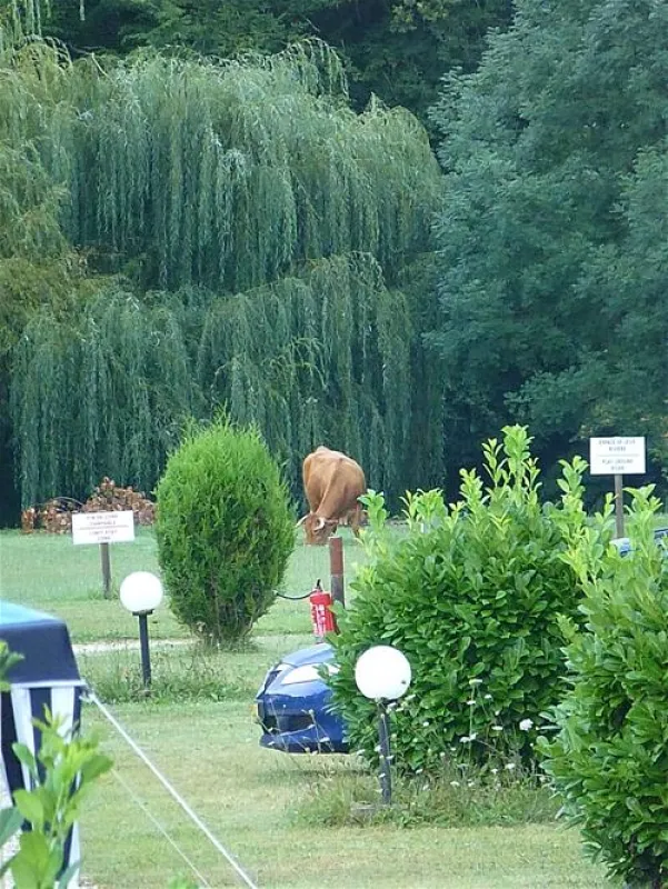 Camping Le Bois du Coderc***