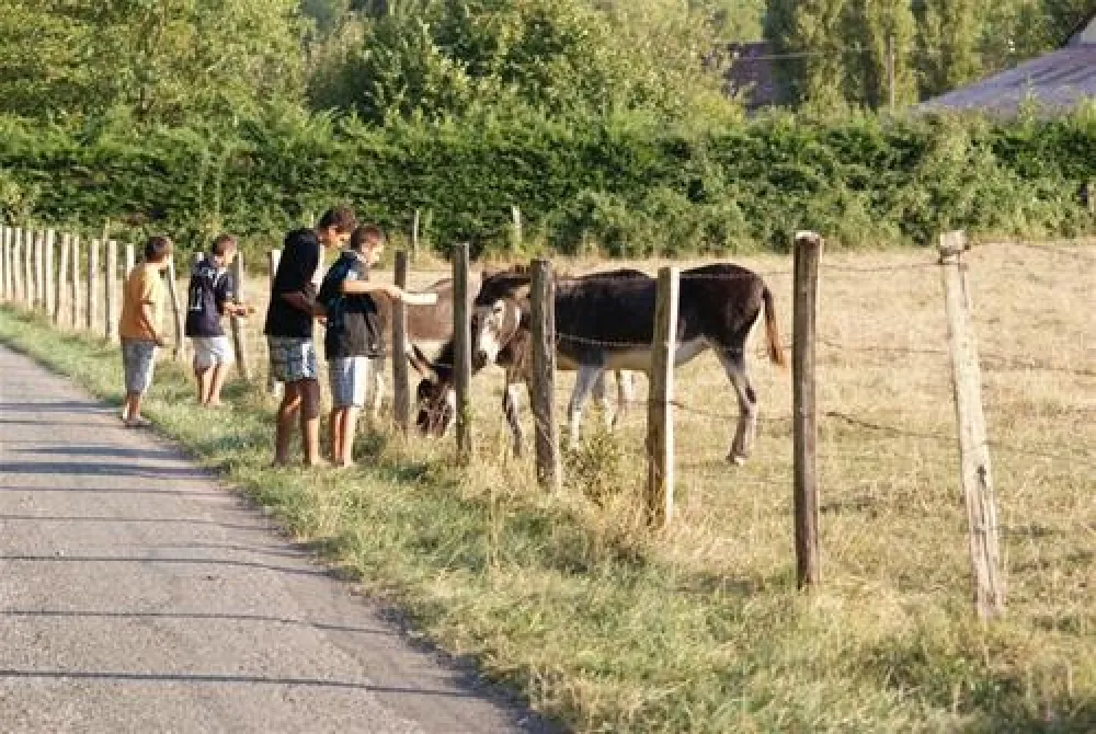 Camping Le Bois du Coderc***