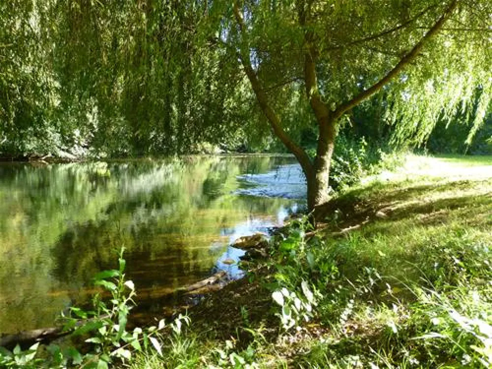 Camping Le Bois du Coderc***