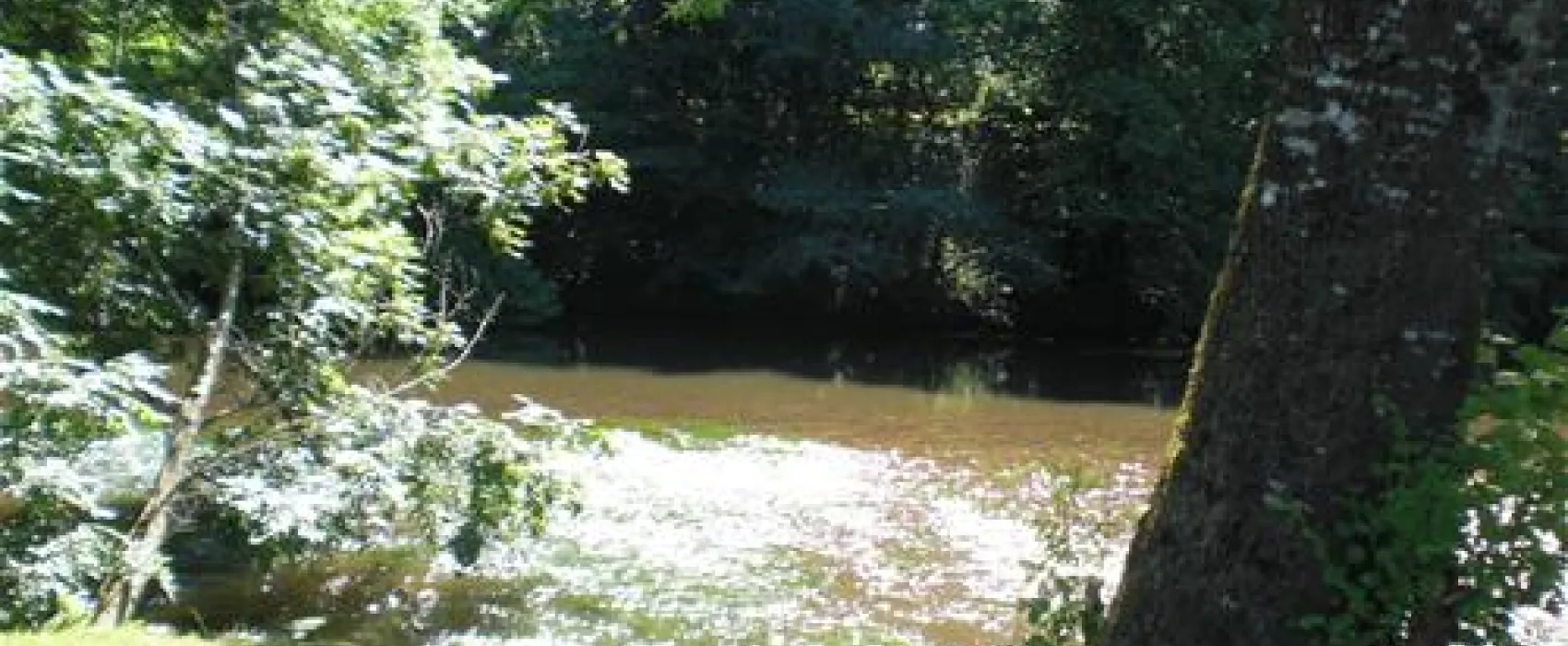 Camping Le Bois du Coderc***