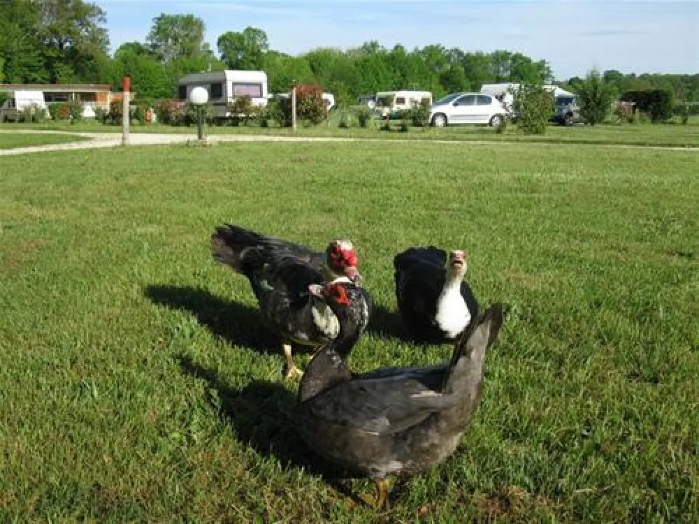Camping Le Bois du Coderc***