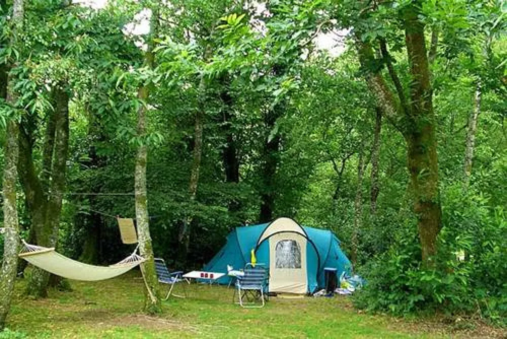 Camping P&B  