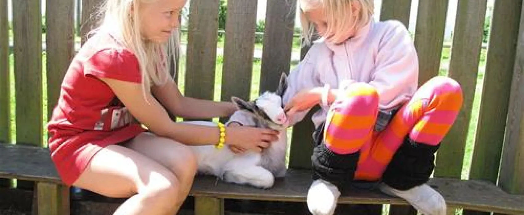 Ballen Strandcamping