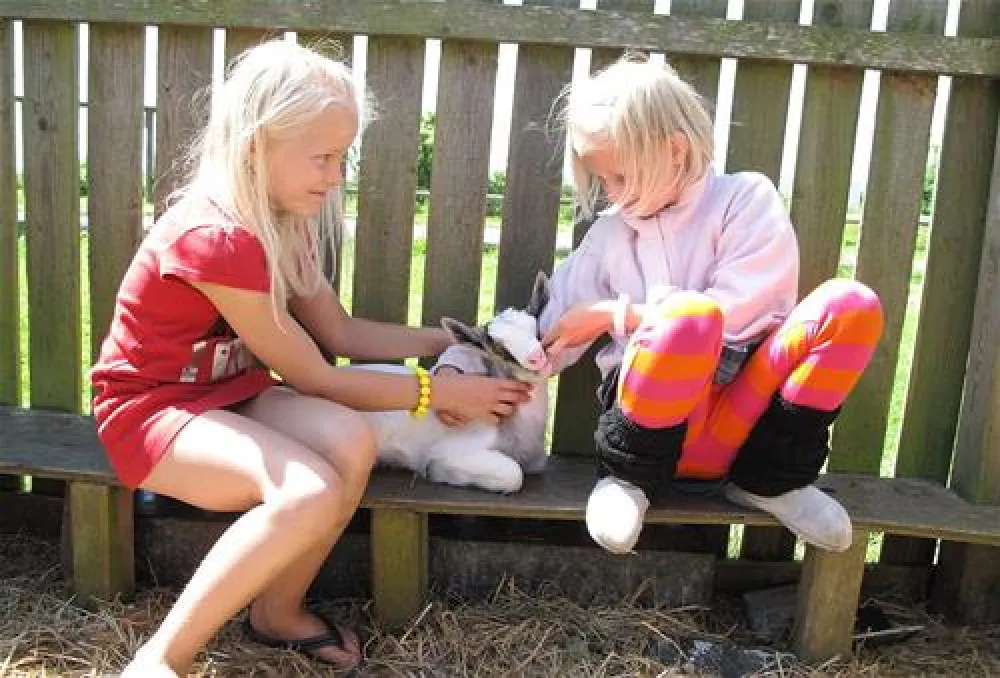 Ballen Strandcamping