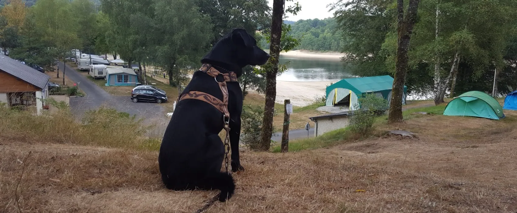 Camping Municipal Puy De Veix