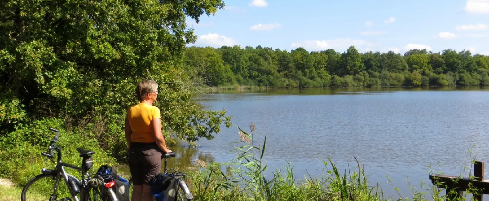 Camping Municipal De La Varenne  