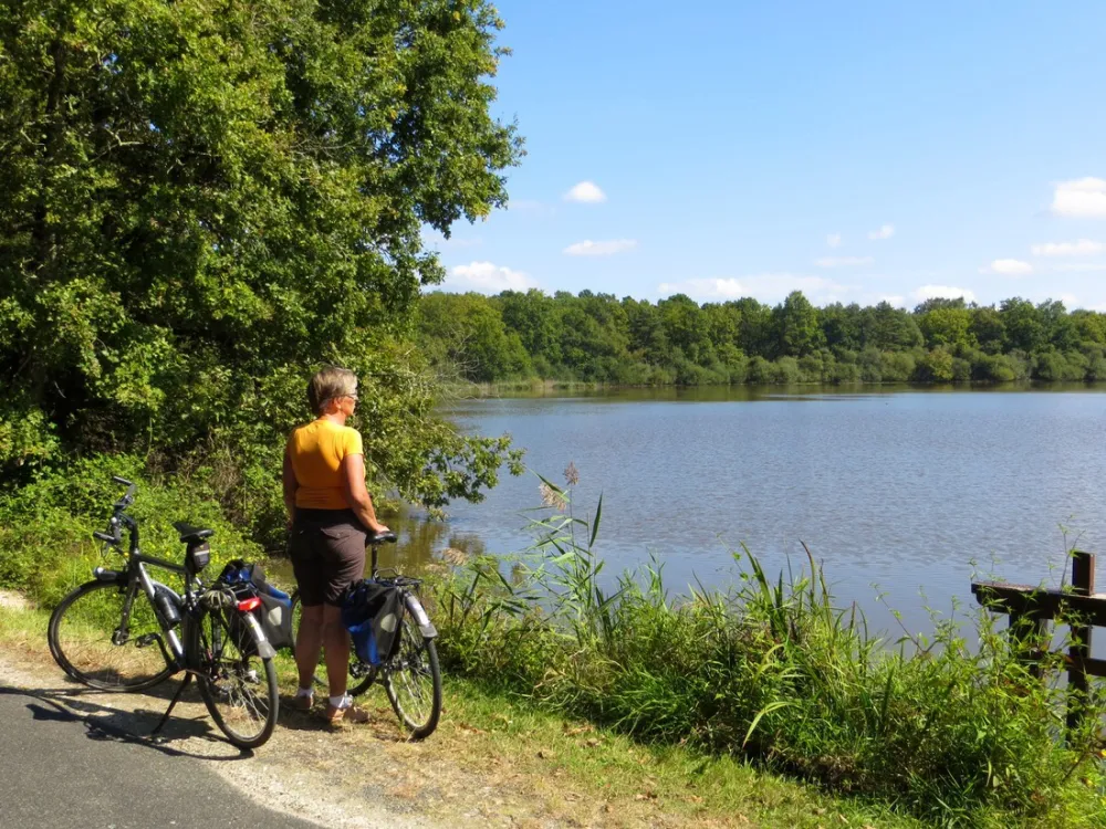 Camping Municipal De La Varenne  