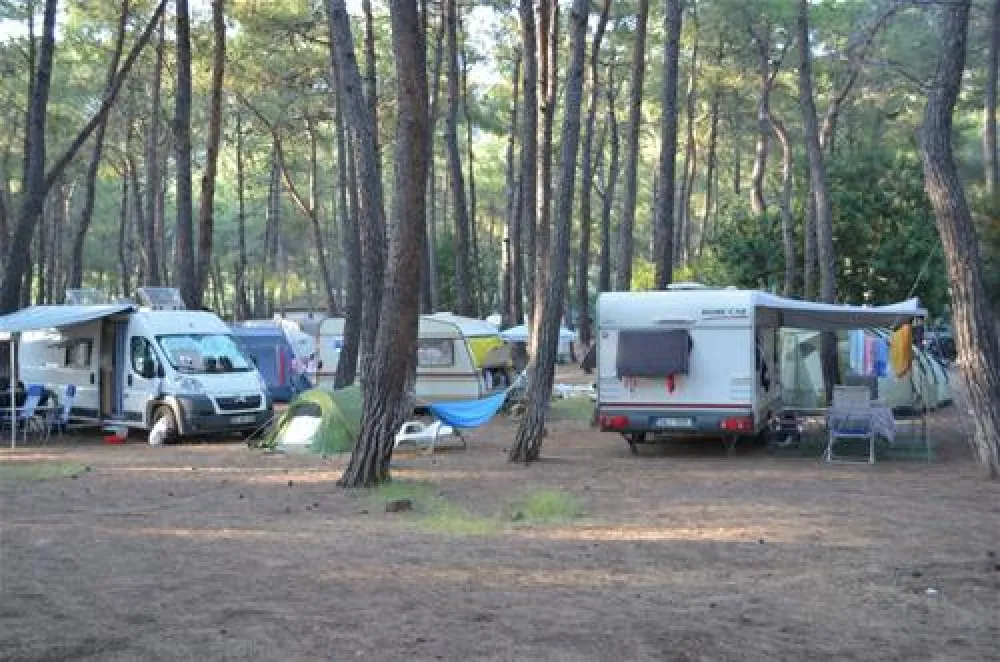 Aktur Camping