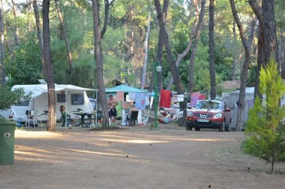 Aktur Camping