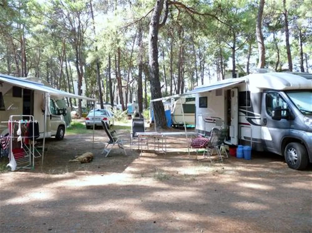 Aktur Camping