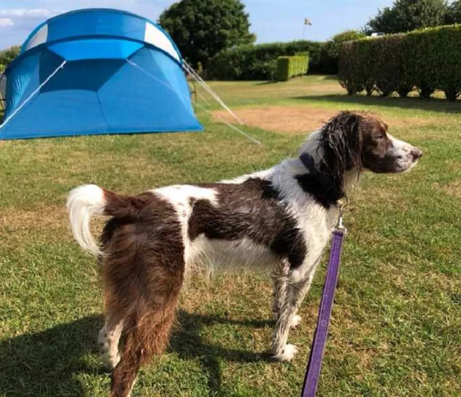 Polmanter Touring Park