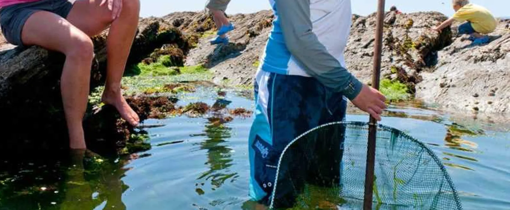 Polmanter Touring Park