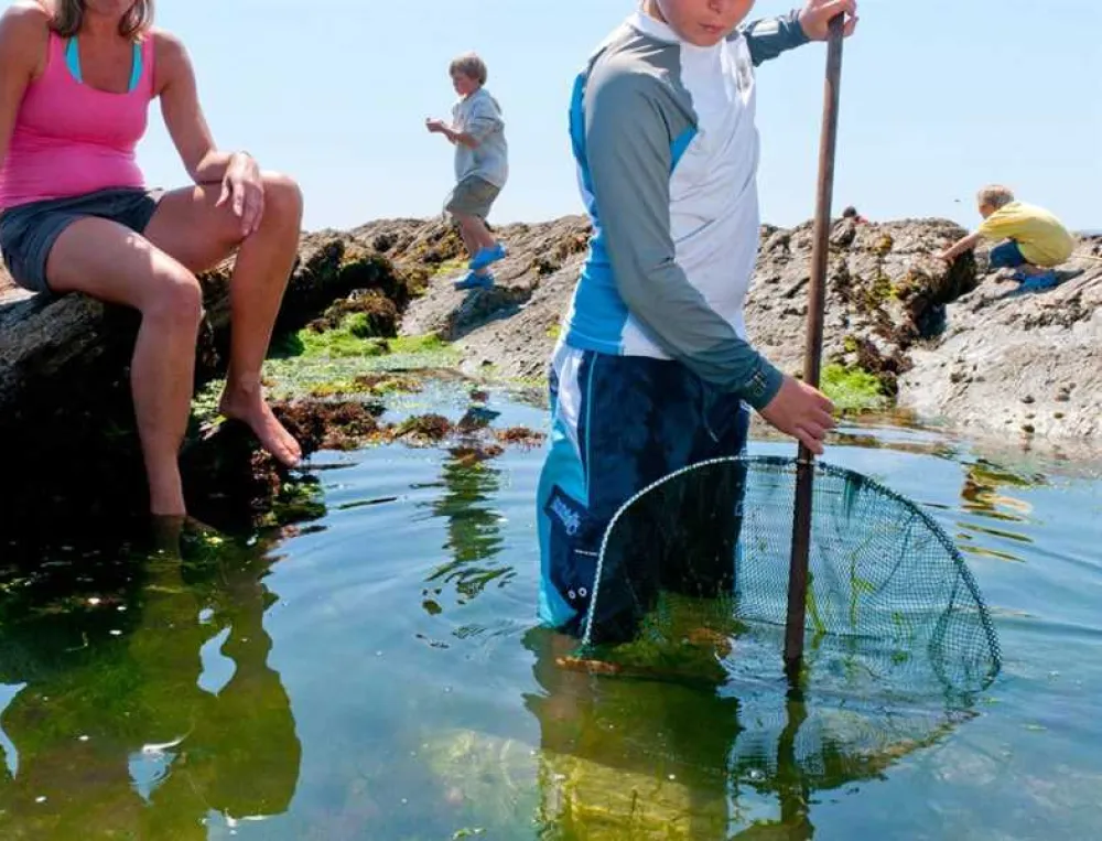 Polmanter Touring Park