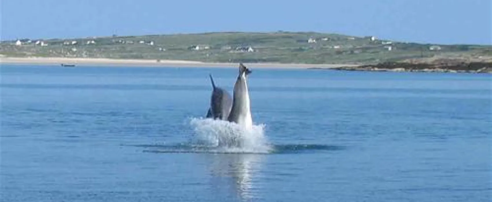 Clifden eco Beach Camping & Caeavanning Park
