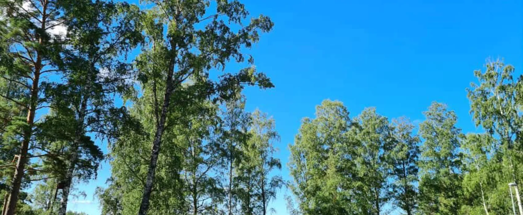 Arvika Swecamp Ingestrand