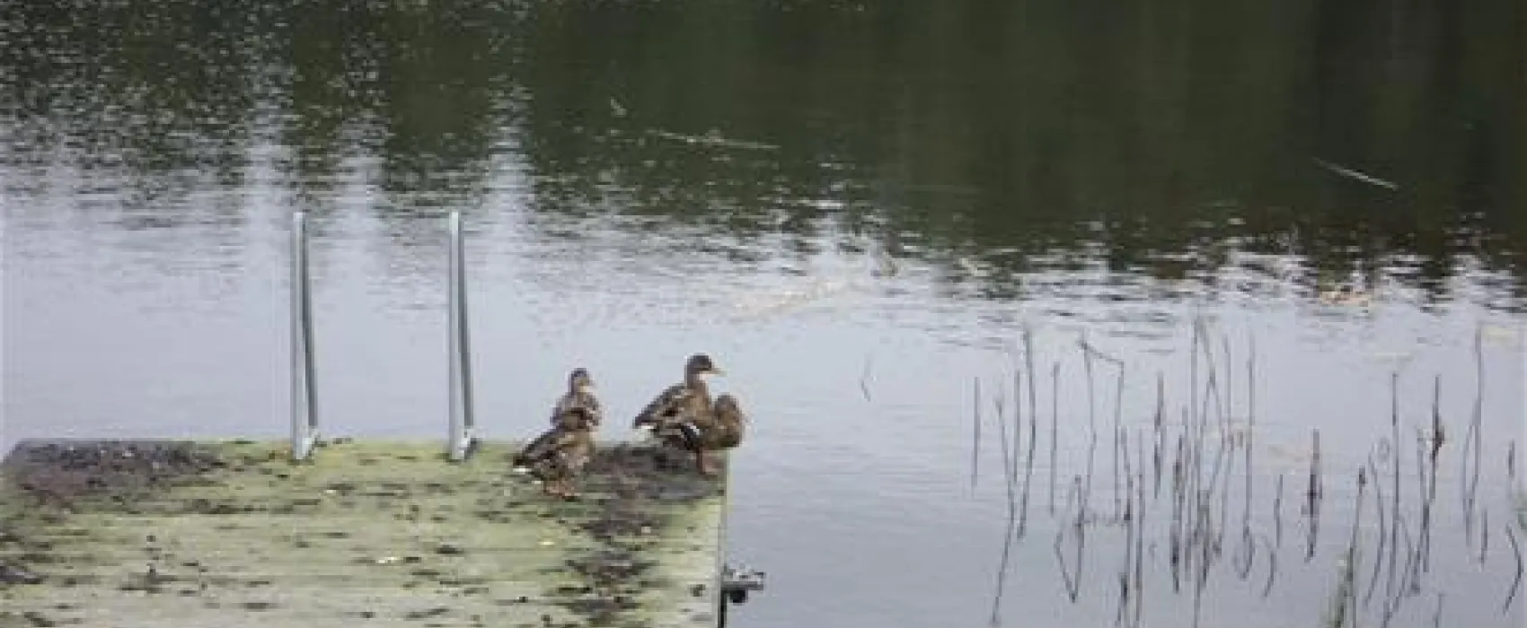 Vuokatinranta Camping