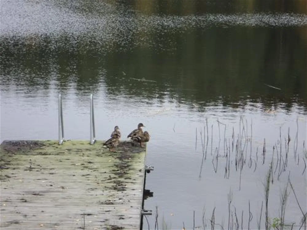 Vuokatinranta Camping
