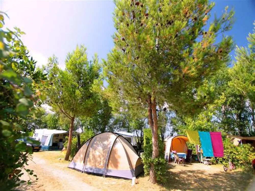 Yelloh! Village Les Mimosas  